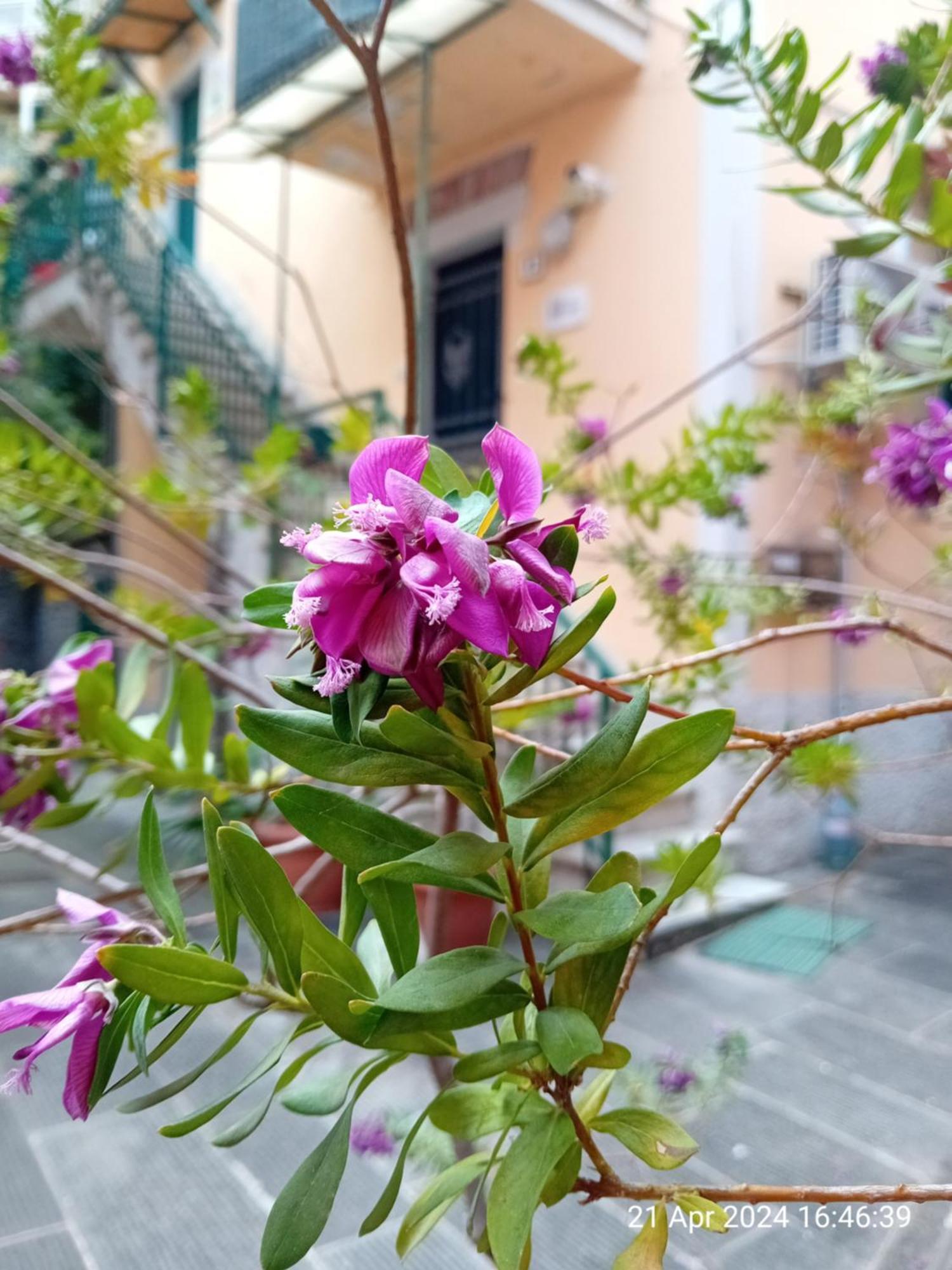 Appartamento Il Vicolo La Spezia Cinque Terre Exterior photo