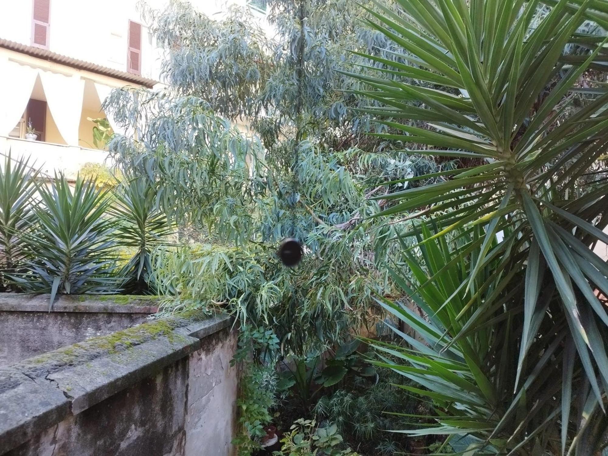 Appartamento Il Vicolo La Spezia Cinque Terre Exterior photo